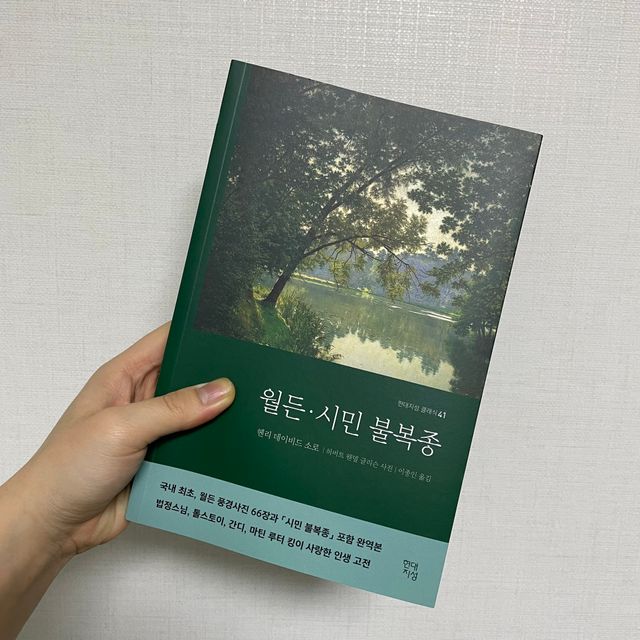 월든·시민 불복종 리뷰 사진