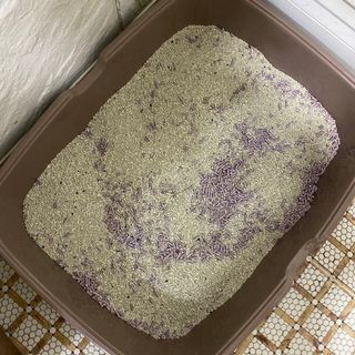 겟플렉스 켓플렉스 캣츠룸BS-1 고양이모래 4kg — 4점을 준 리뷰어가 2021년 1월 올린 사용 사진