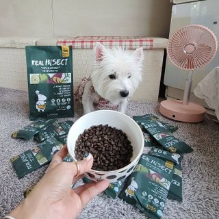 [푸디웜] 라포그  리얼인섹트 웨이트밸런스 저알러지 강아지 사료  1.2KG — 5점을 준 리뷰어가 2021년 7월 올린 사용 사진