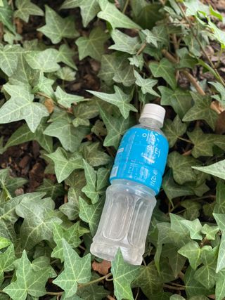 [동아오츠카] 포카리스웨트  500ml PET + 이온워터 500ml PET — 5점을 준 리뷰어가 2025년 7월 올린 사용 사진