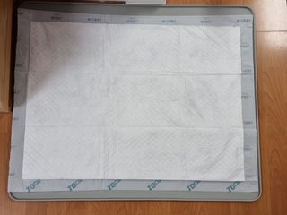 아베크 펫 와이드 프리미엄 대형 애견 강아지 배변 패드 30매 1팩 80g — 5점을 준 리뷰어가 2021년 7월 올린 사용 사진