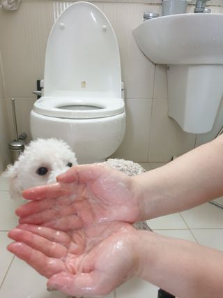 베베송이님이 올린 리뷰 사진 1
