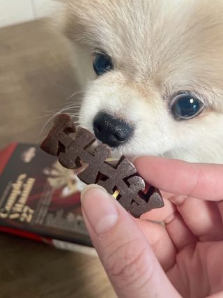 밍크마마님이 올린 리뷰 사진 3