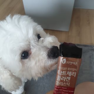 자연에온 가득담은 몽모랑시 타트체리 콜라겐 젤리스틱 — 5점을 준 리뷰어가 2021년 1월 올린 사용 사진