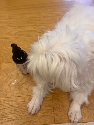 타이니벳시님이 올린 리뷰 사진 4