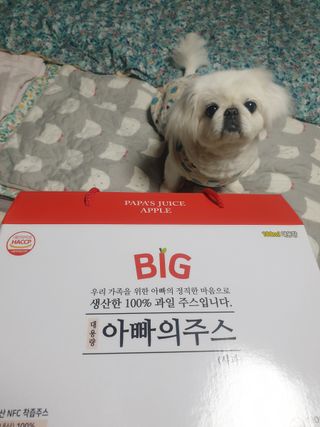 페키아름님이 올린 리뷰 사진 4