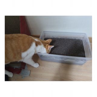 고갱님님이 올린 리뷰 사진 3
