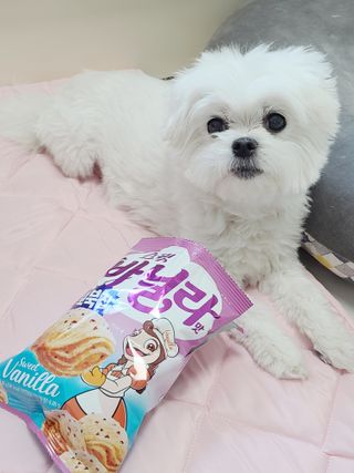 송린깡님이 올린 리뷰 사진 1