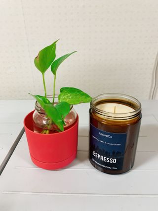 아로니카 라지자 커피캔들 500g 4종 — 5점을 준 리뷰어가 2023년 1월 올린 사용 사진
