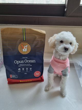 귀요미두공주맘님이 올린 리뷰 사진 1