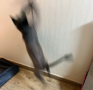 수린님이 올린 리뷰 사진 1