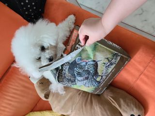 꾸꾸엄마님이 올린 리뷰 사진 2