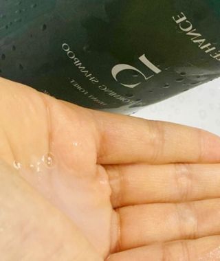르핸스 퍼포밍 5 샴푸 비반트 포렛/베티버 포그 — 5점을 준 리뷰어가 2022년 12월 올린 사용 사진