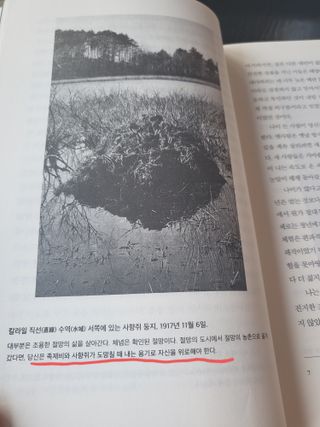cherishlim님이 올린 리뷰 사진 3