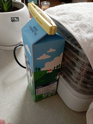 하나마이 [BEST 판매율 1위] 카스피해 유산균 종균_발효기가 필요없이 간편하게 만들어 먹는 요거트 생유산균 — 3점을 준 리뷰어가 2023년 3월 올린 사용 사진