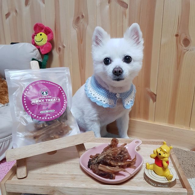 [졸리졸리]말 힘줄(HORSE TENDON) 리뷰 사진