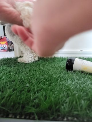xkdidhqk님이 올린 리뷰 사진 3