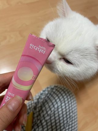 인디닥터 면역 생생 핑크 이뮨 젤리 + 타이탄 BCAA 프로틴 젤리스틱 — 4.5점을 준 리뷰어가 2022년 4월 올린 사용 사진