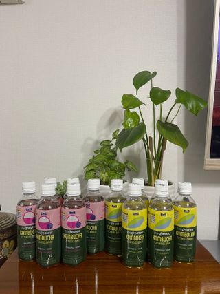더그레잇티 콤부차 300ml *12개입 (오리지널 6개+베리리치 6개) — 5점을 준 리뷰어가 2022년 7월 올린 사용 사진