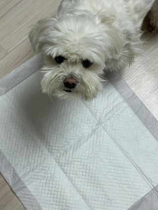 냠냠이님이 올린 리뷰 사진 3