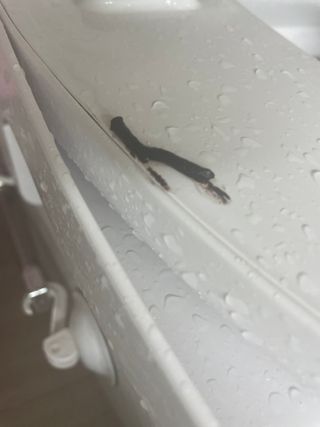 쮸유마미님이 올린 리뷰 사진 3