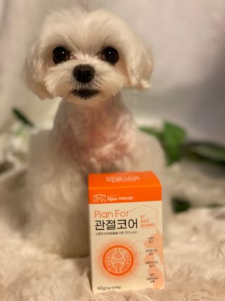 구니구니구니님이 올린 리뷰 사진 1