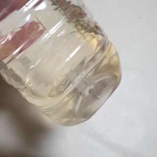 산그리메 작두콩차 — 5점을 준 리뷰어가 2021년 4월 올린 사용 사진
