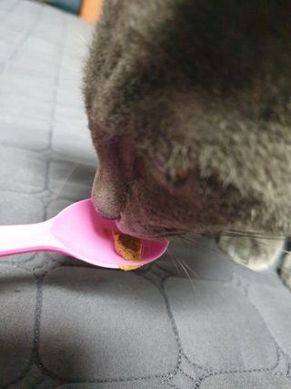 이승진님이 올린 리뷰 사진 4