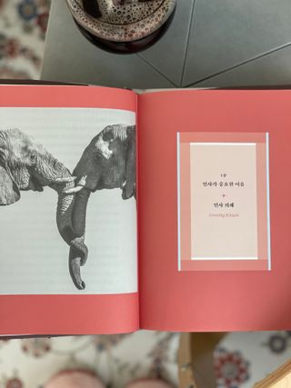 기뮤경님이 올린 리뷰 사진 3