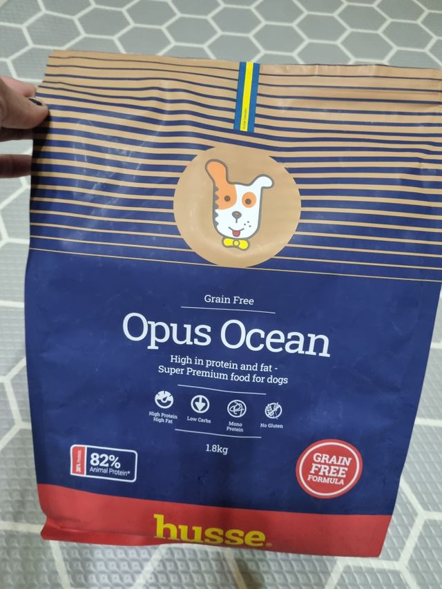 [후새] 오퍼스 오션 리뷰 사진