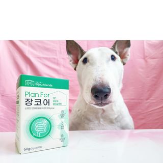 콩콩님이 올린 리뷰 사진 3