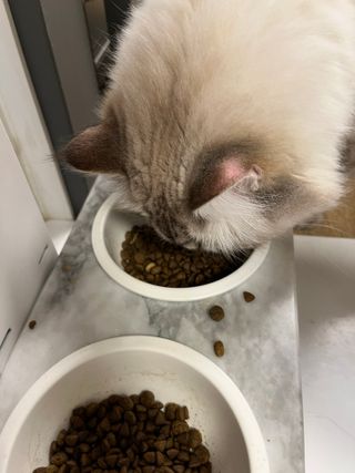 hanav님이 올린 리뷰 사진 4