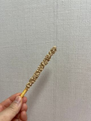 여름님이 올린 리뷰 사진 2