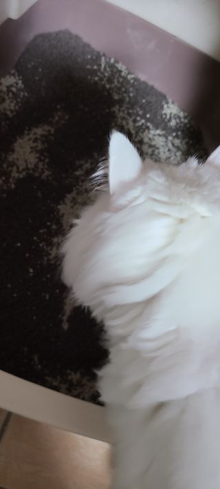 논지님이 올린 리뷰 사진 3