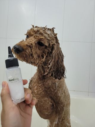 sssee님이 올린 리뷰 사진 3