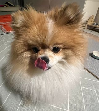 ari님이 올린 리뷰 사진 1