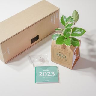 [메이크정글] 식물과 달력이 하나로, 2023년 식물캘린더 No.1 — 5점을 준 리뷰어가 2022년 10월 올린 사용 사진