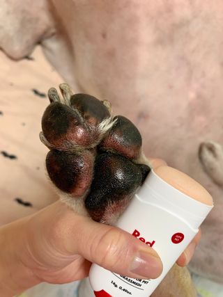 두치뿌꾸빵빵님이 올린 리뷰 사진 1