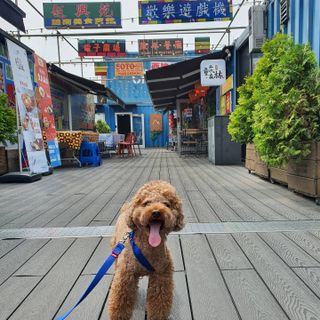 사랑해안시영님이 올린 리뷰 사진 4