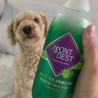 밈미네봄이님이 올린 리뷰 사진 1