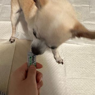 꽃사과님이 올린 리뷰 사진 1