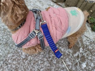 김이설님이 올린 리뷰 사진 2