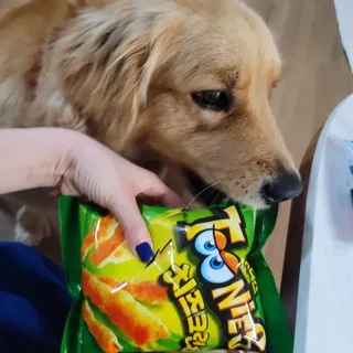 가루파랑님이 올린 리뷰 사진 1