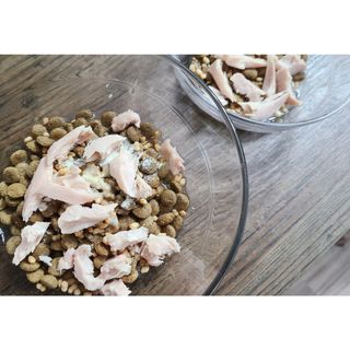 도그퓨어 푸드닭 강아지 닭고기 통살 애견간식 오리지널/차전자피/초록입홍합 — 3.5점을 준 리뷰어가 2021년 11월 올린 사용 사진