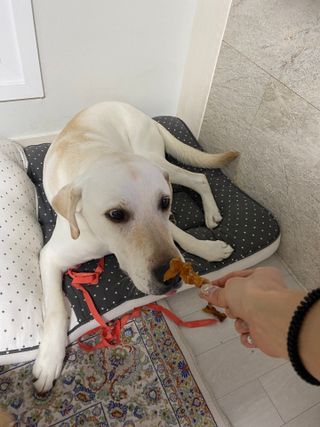 정봐기린님이 올린 리뷰 사진 2