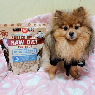 은선이짱님이 올린 리뷰 사진 1