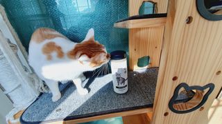 쩡집사님이 올린 리뷰 사진 3