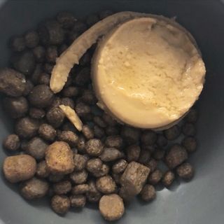 torius님이 올린 리뷰 사진 2