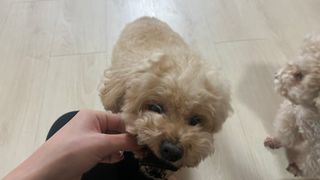 숙블리님이 올린 리뷰 사진 4