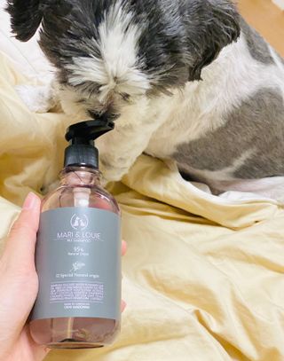 마리앤루이펫샴푸 [mari and louie pet shampoo] — 4점을 준 리뷰어가 2021년 5월 올린 사용 사진